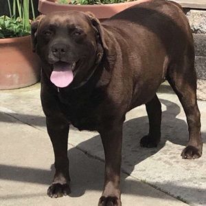 Meet your Posher, Maria